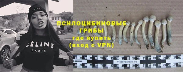 гашик Осинники