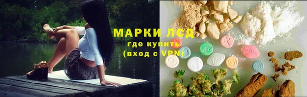 гашик Осинники