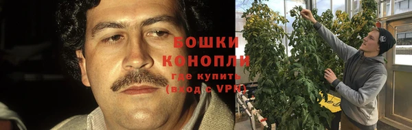 гашик Осинники