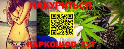 индика Гусь-Хрустальный