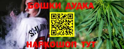 индика Гусь-Хрустальный