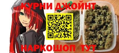 индика Гусь-Хрустальный