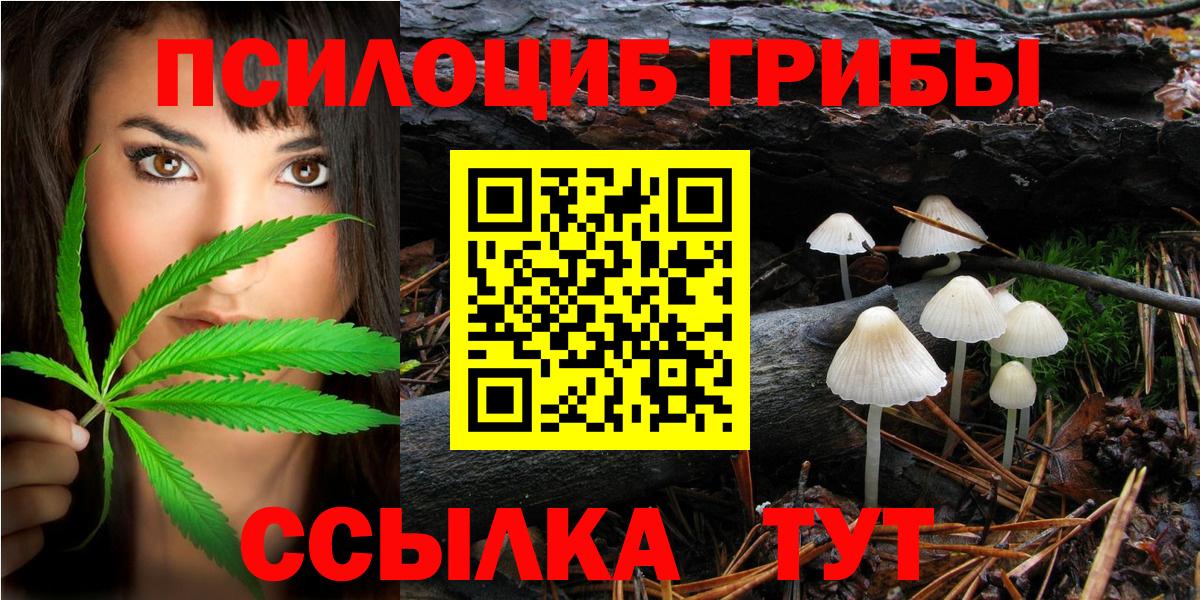 Калач-на-Дону  Псилоцибиновые грибы Magic Shrooms  Вход с VPN 
